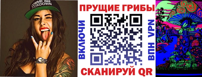 как найти закладки Жуковка Галлюциногенные грибы Psilocybe